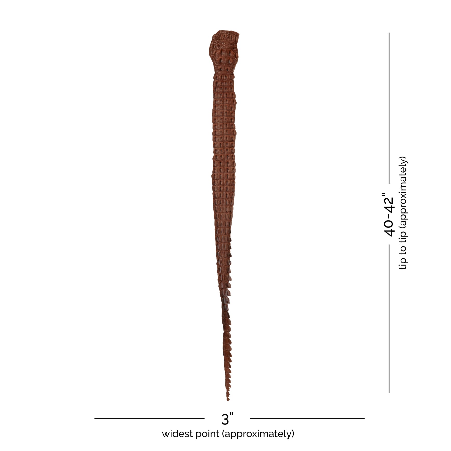 Crocodile Back Strap Leather (40-42" x 3") | Brown