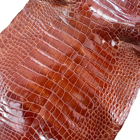 Glazed Wild American Alligator Cognac | 45 cm