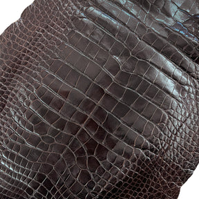 Glazed Wild American Alligator Dark Brown | 44 cm