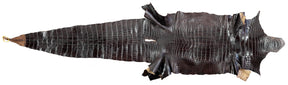 Glazed Wild American Alligator Dark Brown | 44 cm