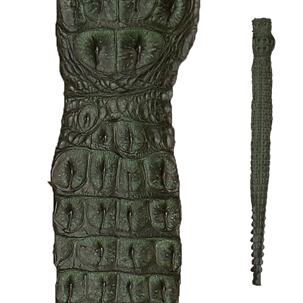 Crocodile Back Strap Leather (40-42" x 3") | Forest Green