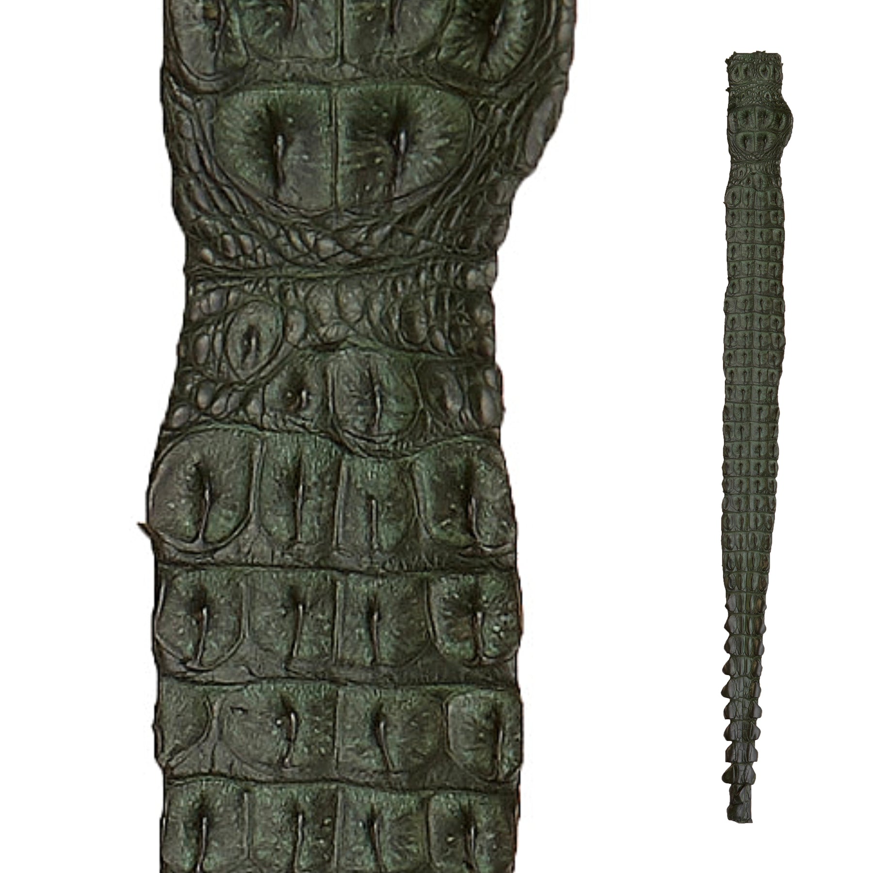 Crocodile Back Strap Leather (40-42" x 3") | Forest Green