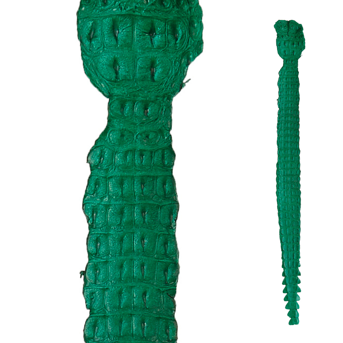 Crocodile Back Strap Leather (40-42" x 3") | Green