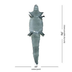 Wild American Alligator Grey | 41 cm