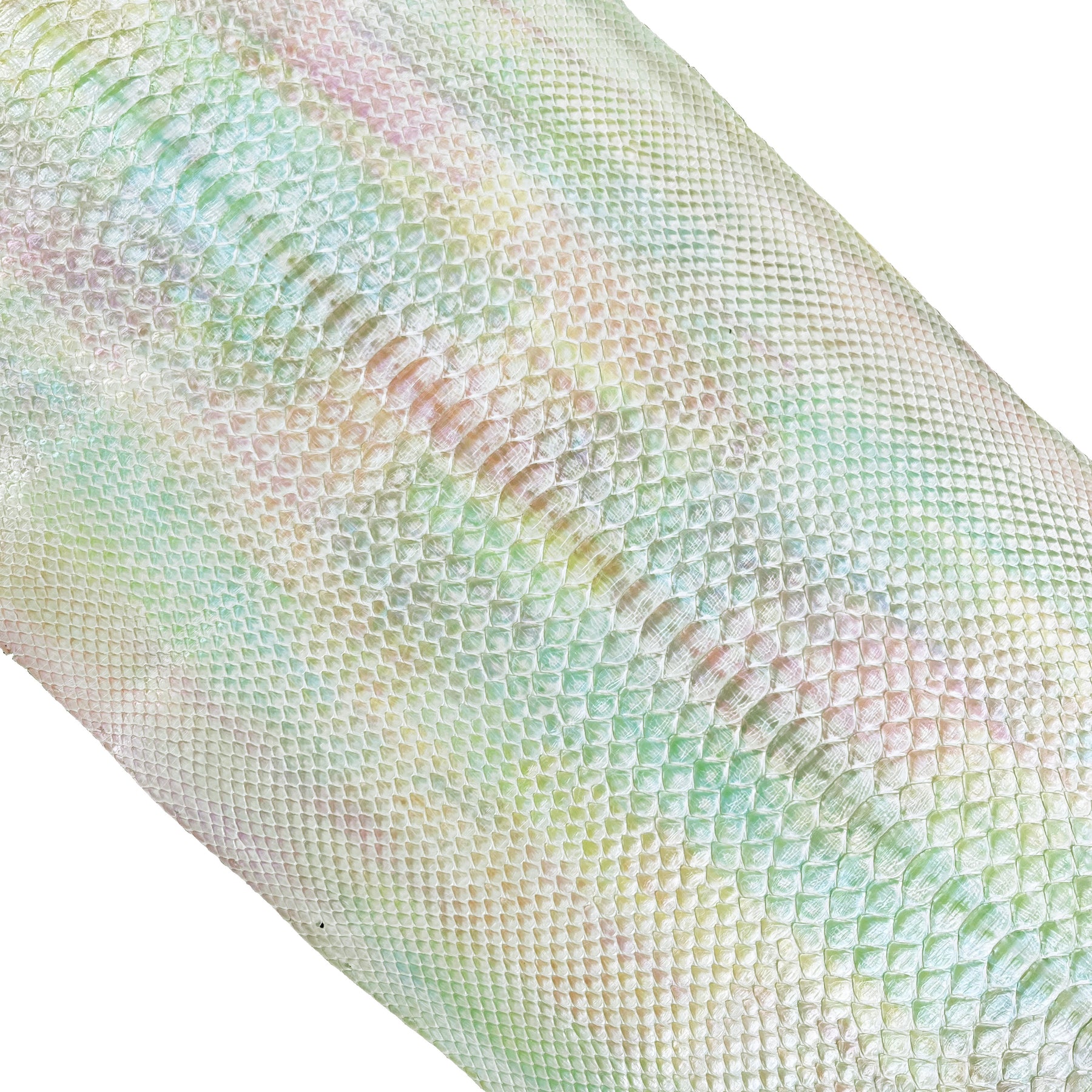 Python Skin 56" Pastel Rainbow