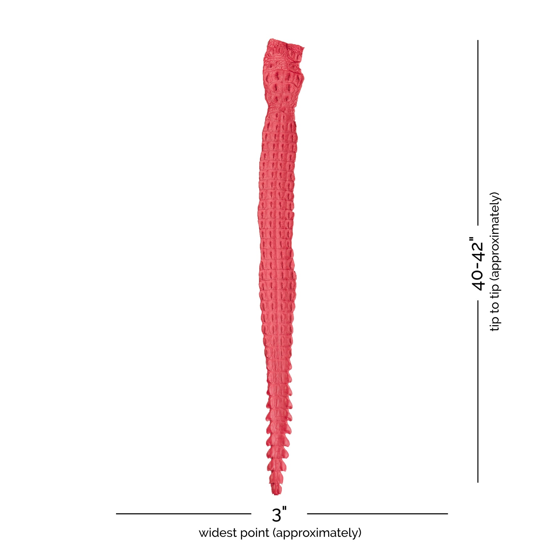 Crocodile Back Strap Leather (40-42" x 3") | Pink