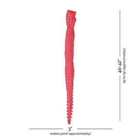 Crocodile Back Strap Leather (40-42" x 3") | Pink