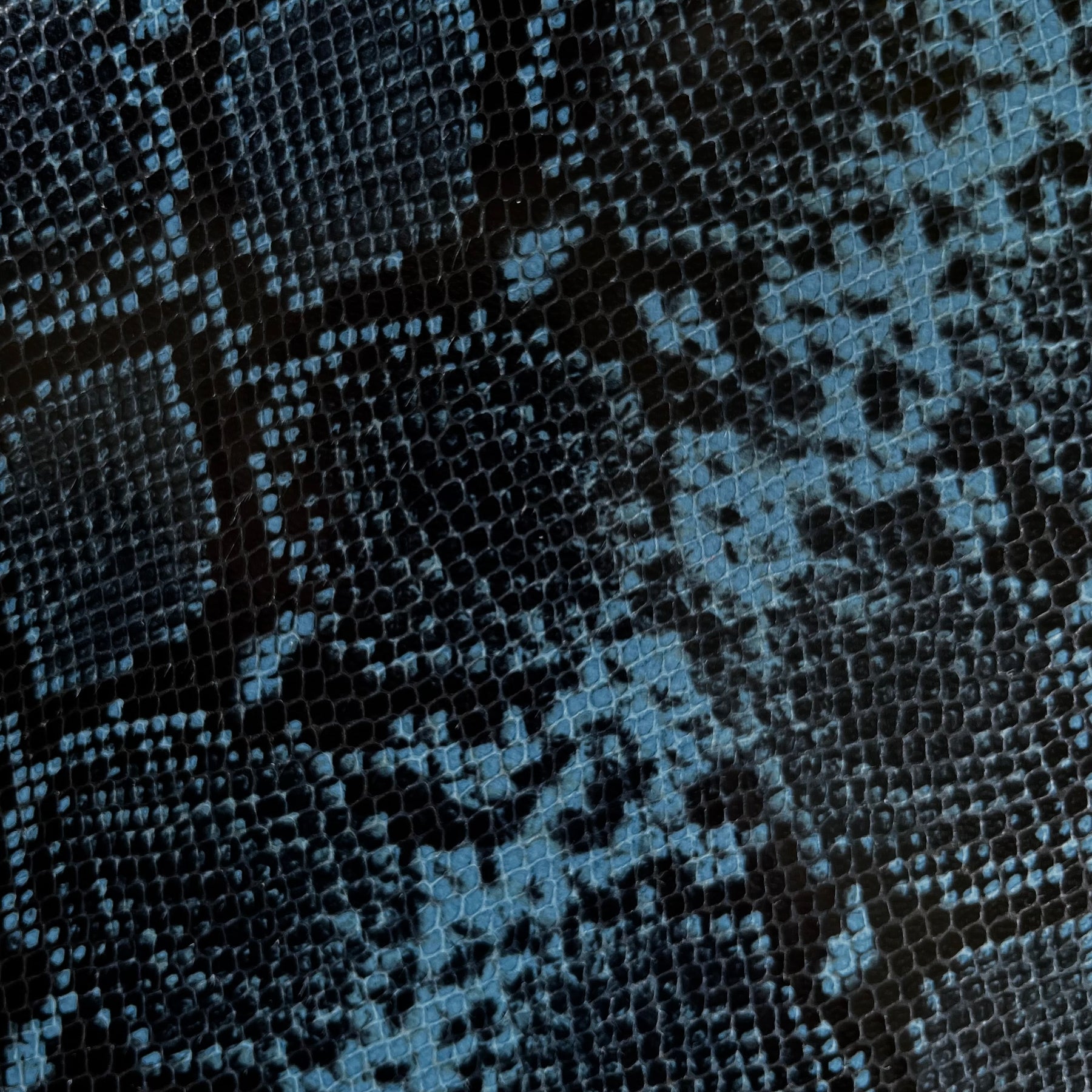 Black Python Skin