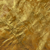 Metallic Gringo Goat